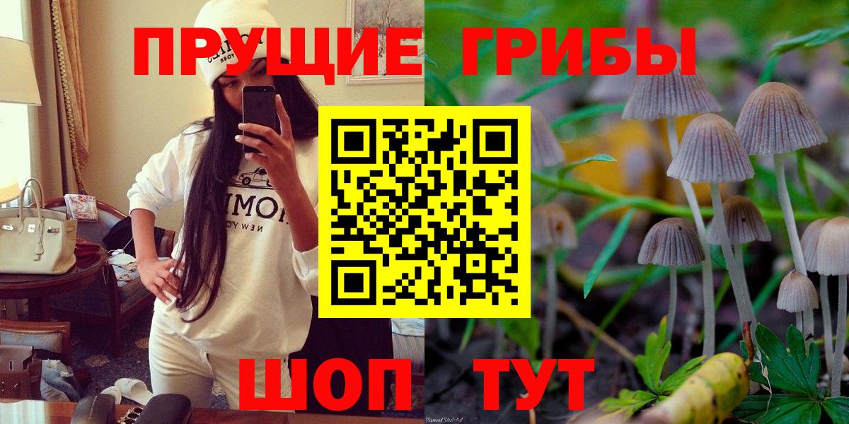 Псилоцибиновые грибы MAGIC MUSHROOMS Асино