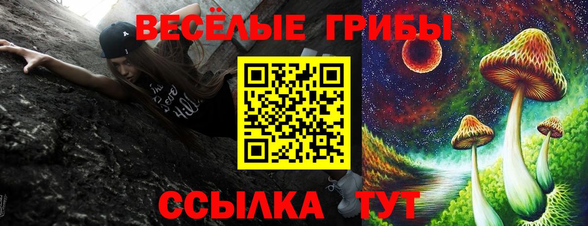Псилоцибиновые грибы GOLDEN TEACHER  Галлюциногенные грибы Magic Shrooms  Асино  Вход с VPN 